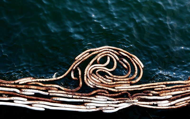 Oil soaked boom is seen near the base of a fishing pier on June 14, 2010 in Gulf Shores, Alabama. U.S. government scientists have estimated that the flow rate of oil gushing out of the ruptured Deepwater Horizon oil well in Gulf of Mexico may be as high 40,000 barrels per day. (GETTY IMAGES)