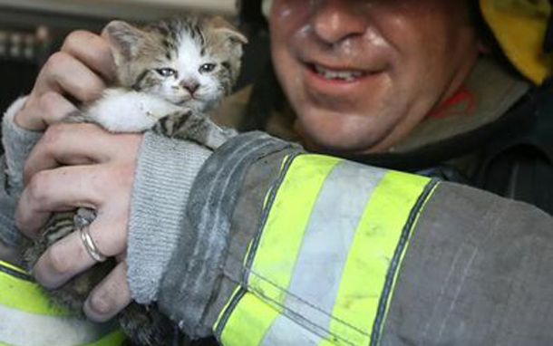 Firefighters Dismantle Police Car To Rescue Kitten - Offbeat - Crazy 