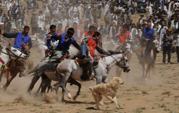 Afghan horsemen compete for the goat carcass during a game of buzkashi in Afghanistan. (AFP)