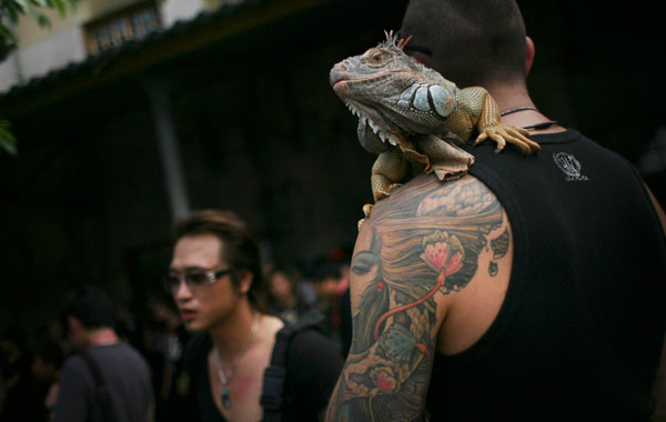 A exhibitor carries an iguana at the International Tattoo Festival in Taipei, Taiwan. (AP)