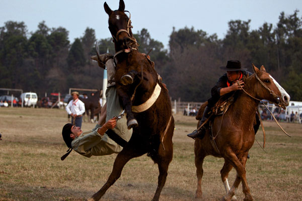 An Argentine gaucho, or cowboy, falls down from a horse as he competes during a rodeo in Jauregui, Argentina. (AP)