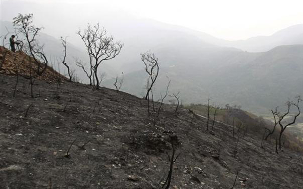 A burned field is seen in Santa Barbara near La Paz. Bolivia's national meteorology service reported more than six thousand forest fires in the country's northwest from farmers burning off unwanted bush, with smoke covering much of the country, contributing to respiratory problems and airport closings. (REUTERS)