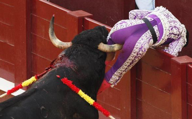 Spanish banderiller Pedro Muriel is gored by a bull during a bullfight at the Malagueta bullring in Malaga. Banderillers are bullfighter's assistants whose role is to weaken the bull's massive neck and shoulder muscles using harpoon pointed sticks known as banderillas (little flags). Muriel was gored in the right thigh but his wound is not serious, said his manager Ignacio Gonzalez to the magazine Mundotoro. (REUTERS)