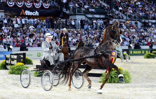 Canadian actor William Shatner drives a small carriage during the Opening Ceremony for the World Equestrian Games in Lexington, Kentucky, USA. (EPA)