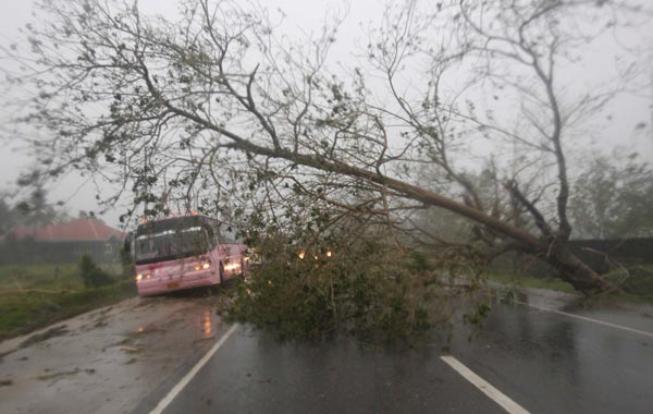 Vehicles try to pass through a fallen tree at the onslaught of typhoon Megi (local name "Juan") Monday Oct.18, 2010 at Cauayan, Isabela province in northeastern Philippines.(AP)