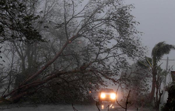 A vehicle manuevers from an uprooted  tree caused by Typhoon Megi in Isabela province, northern Philippines. (EPA)