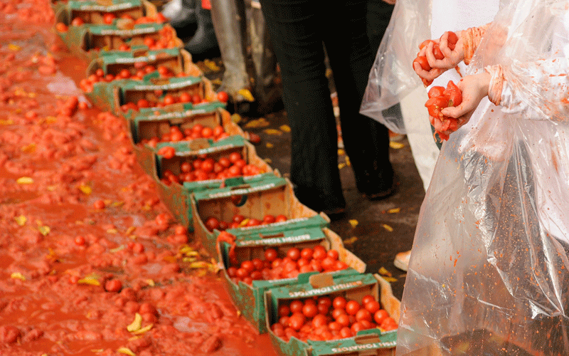 Participants stand ready to take part in the MTV Giant Tomato Fight in Golden Square on November 2, 2010 in London, England. The tomato fight was arranged by MTV to promote the European Music Awards which will be held in Madrid on November 7th. (GETTY IMAGES)