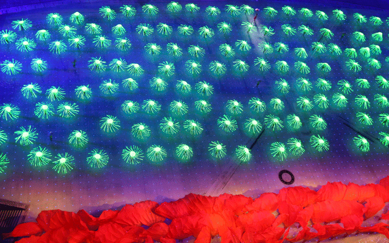 Participants perform during a rehearsal for the opening ceremony of the Asian Games in Guangzhou, Guangdong province. The Asian Games run from November 12-27 and will involve some 14,000 athletes and officials from 45 countries. (REUTERS)