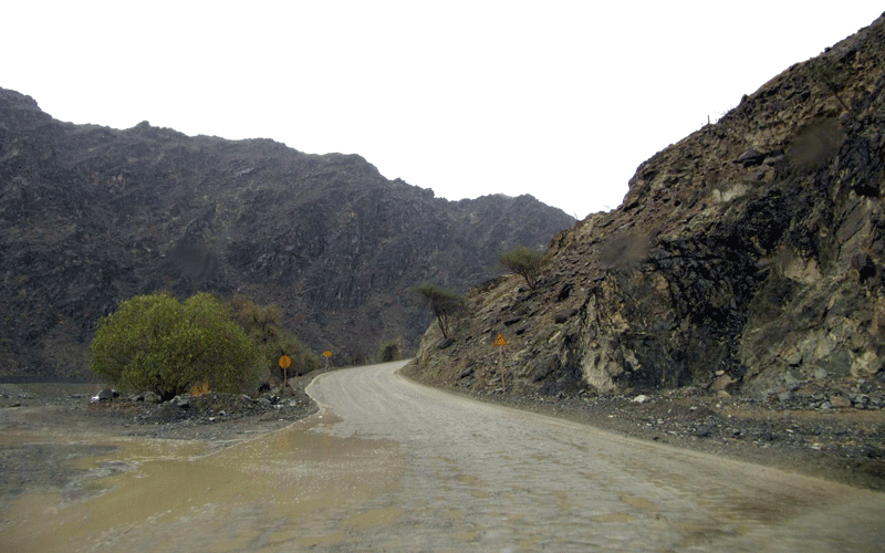 Rains in recent days have brought the winter and a green tinge to UAE's mountains and wadis (WAM)