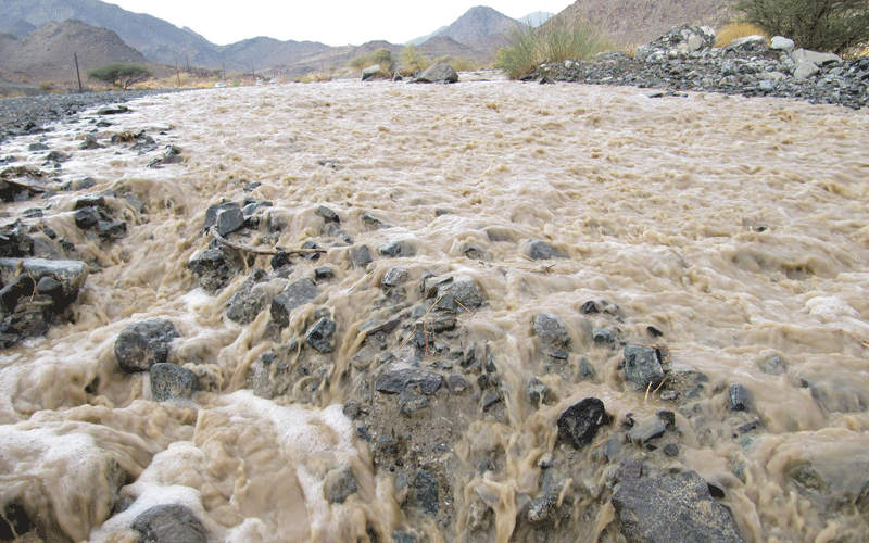 Rains in recent days have brought the winter and a green tinge to UAE's mountains and wadis (WAM)