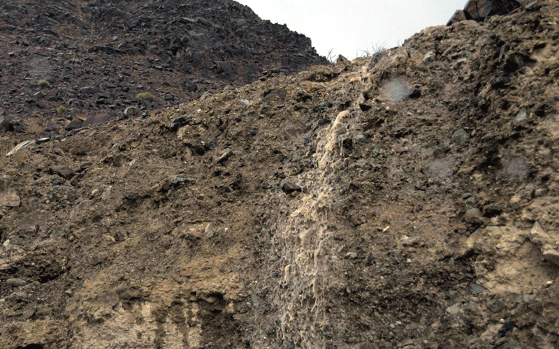 Rains in recent days have brought the winter and a green tinge to UAE's mountains and wadis (WAM)