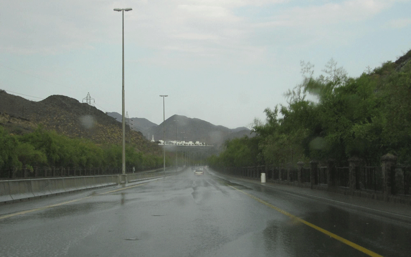 Rains in recent days have brought the winter and a green tinge to UAE's mountains and wadis (WAM)