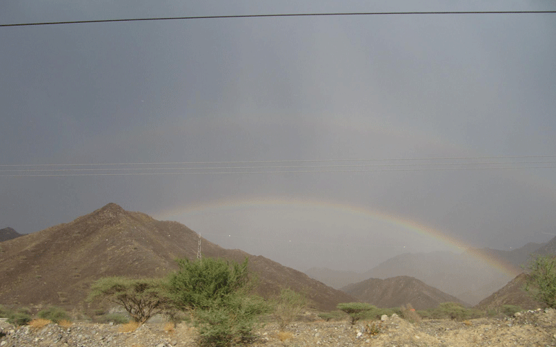 Rains in recent days have brought the winter and a green tinge to UAE's mountains and wadis (WAM)