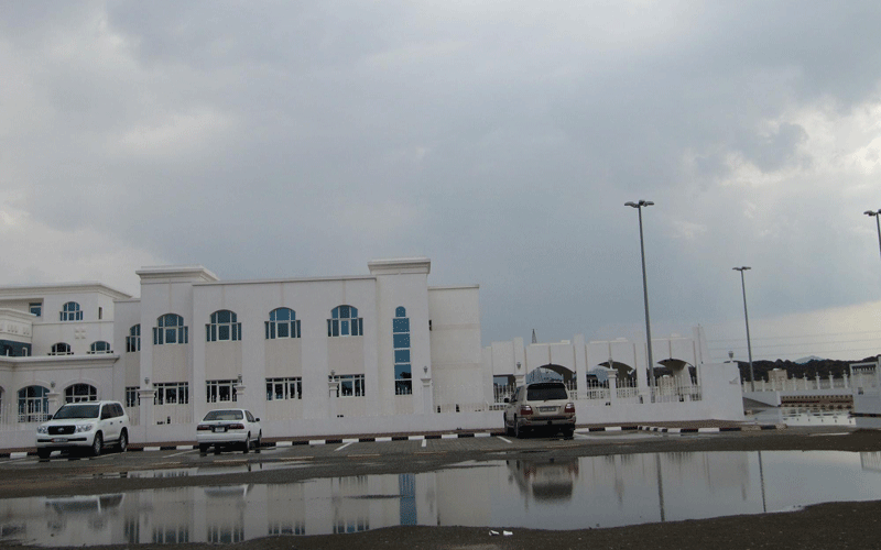 Rains in recent days have brought the winter and a green tinge to UAE's mountains and wadis (WAM)