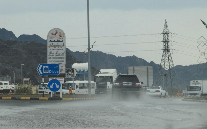 Rains in recent days have brought the winter and a green tinge to UAE's mountains and wadis (WAM)