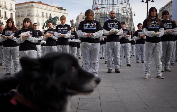 A dog on a leash walks with his owner, unseen, past a protest by animal right activists holding dead animal's bodies during the International day of Animals Rights in Madrid. (AP)