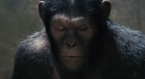 Fans go bananas for new Planet Of The Apes clip - Offbeat - Emirates24|7