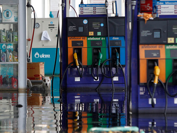 A dog stands at a flooded petrol station at Don Muang district in Bangkok November 3, 2011. (REUTERS)