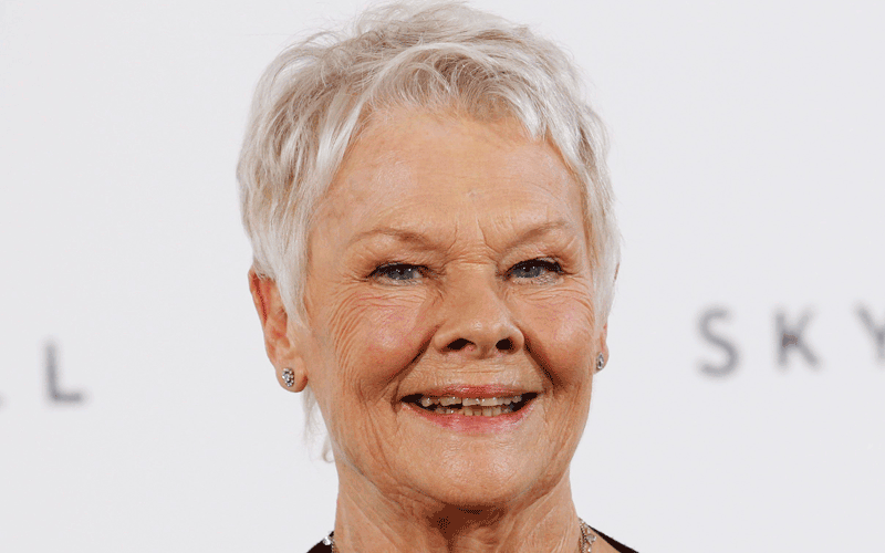 Оливер денч. Judi Dench. Джуди Денч Бонд. Джуди Денч шоколад. Джуди Денч в молодости.