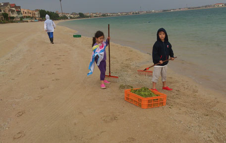 Volunteers and members of environmental group EMEG cleaning the sea of algae