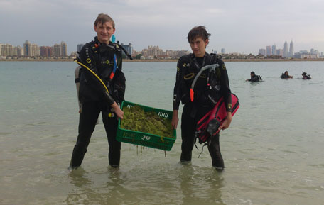 Volunteers and members of environmental group EMEG cleaning the sea of algae