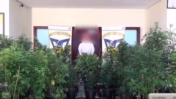 Photo: Dubai Police crack man with 'marijuana nursery'