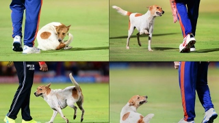 Photo: RPS v DD: Pitch invasion sparks chaos at IPL match