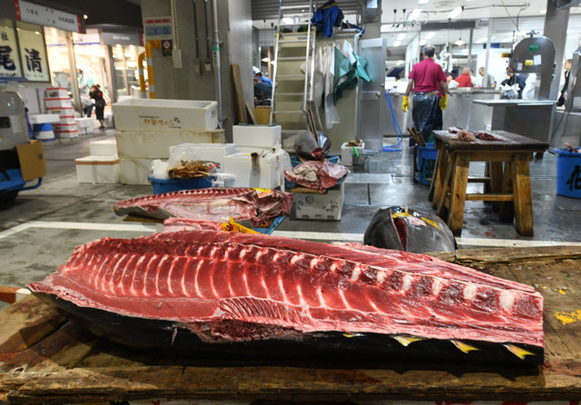 World s Largest Fish Market Reopens At New Site In Tokyo News 