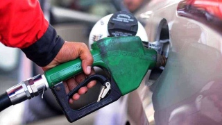 Fuel Price in the UAE for September 2024