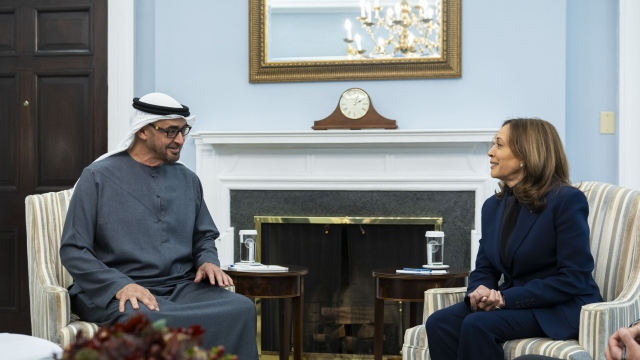 Photo: UAE President, US Vice President explore ways to enhance strategic relations