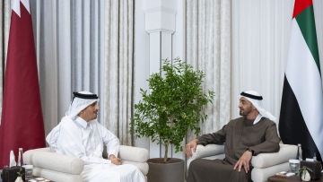 Photo: UAE President receives Qatari Prime Minister