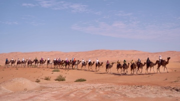 Photo: Camel Trek Embarks on Epic Journey Across the Western Desert