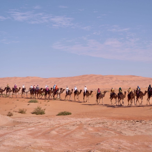 Photo: Camel Trek Embarks on Epic Journey Across the Western Desert