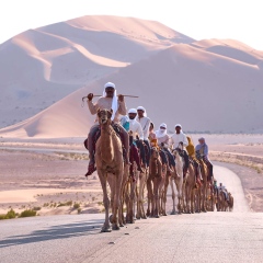 Photo: The 11th Camel Trek Nears Completion: A Celebration of UAE Heritage