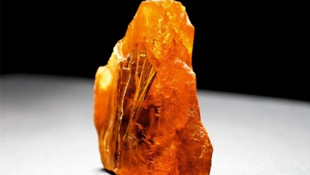 Photo: Amber with Pine Needles Aged 50 Million Years Found in Kaliningrad Region