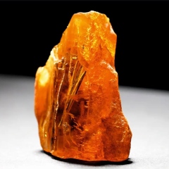 Photo: Amber with Pine Needles Aged 50 Million Years Found in Kaliningrad Region