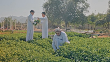 Photo: Dubai Municipality launches second Hatta Farming Festival