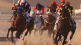 Photo: Arabian Horse Race to kick off tomorrow in Al Dhafra