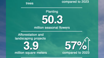 Photo: Dubai Municipality plants 216,500 new trees in 2024, boosting sustainability and enriching the city’s urban environment