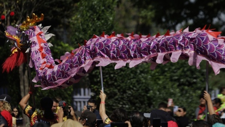 Photo: China welcomes 'Year of the Snake' with large-scale traditional celebrations