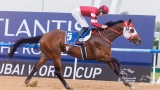 Photo: World’s biggest equine stars set to compete in the Dubai World Cup