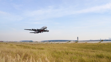 Photo: DXB records highest annual traffic in 2024, celebrating a decade as the world’s busiest international airport