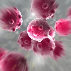 Photo: New Cancer Treatment Starves Tumors Using Engineered Fat Cells